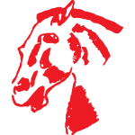 Football Cavaly team logo