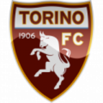Football Torino U19 team logo