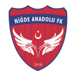 Football Niğde Anadolu team logo