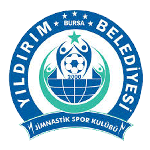 Football Bursa Yıldırımspor team logo