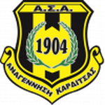 Football Anagennisi Karditsas team logo