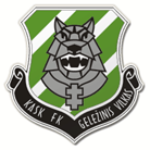 Football Geležinis Vilkas team logo