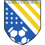 Football Agricola Borcea team logo