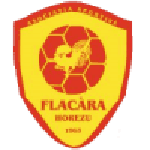 Football Flacăra Horezu team logo