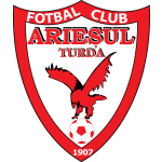 Football Arieşul Turda team logo