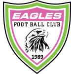Football Eagles team logo