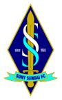Football Sony Sendai team logo