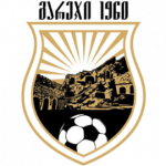 Football Gareji team logo