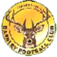 Football Bashley team logo
