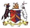 Football Bradford (Park Avenue) team logo