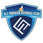 Football Nanjing City team logo