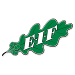 Football EIF team logo
