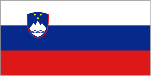 Football Slovenia W team logo