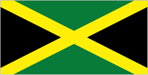 Football Jamaica W team logo