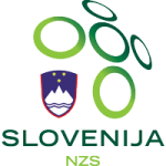 Football Slovenia team logo