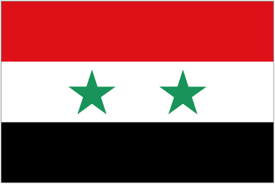 Football Syria team logo