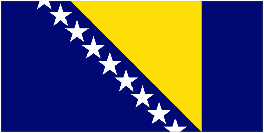 Football Bosnia & Herzegovina team logo