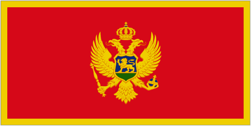 Football Montenegro team logo