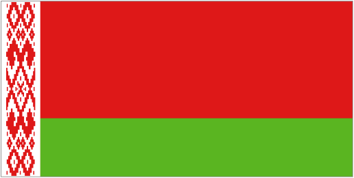 Football Belarus team logo