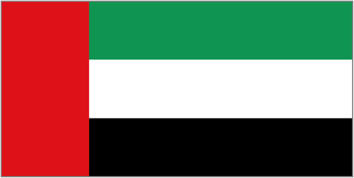 Football United Arab Emirates team logo