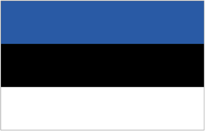 Football Estonia team logo