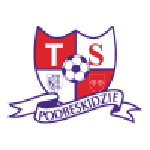 Football Podbeskidzie team logo
