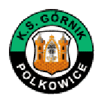 Football Górnik Polkowice team logo