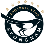 Football Seongnam FC team logo