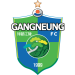 Football Gangneung City team logo