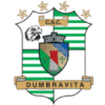 Football Dumbrăviţa team logo
