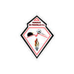Football Mineros de Fresnillo team logo