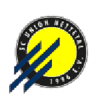 Football Union Nettetal team logo