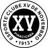Football XV de Piracicaba team logo