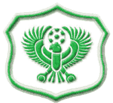 Football AL Masry team logo