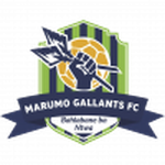 Football Marumo Gallants team logo