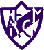 Football Midland team logo