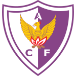 Football Fenix team logo