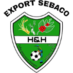 Football H&H Export team logo