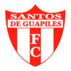Football Santos DE Guapiles team logo