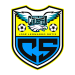 Football Carlos Stein team logo