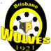 Football WDSC Wolves team logo
