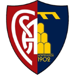 Football Montevarchi Calcio team logo