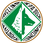 Football Avellino team logo