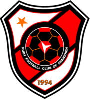 Football Shenzhen Ruby FC team logo