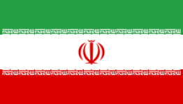 Football Iran team logo