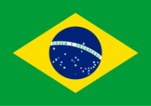 Football Brazil team logo
