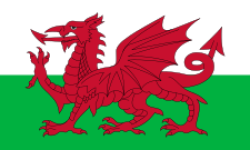Football Wales team logo